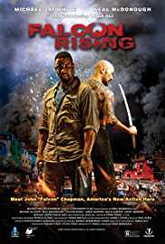 Falcon Rising 2014 Dual Audio Hindi 480p 300MB FilmyZilla