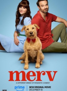 Merv FilmyZilla 2025 Hindi ORG Dubbed