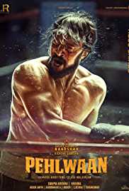 Paiwaan 2019 Hindi Full Movie Download FilmyZilla