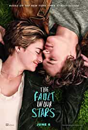 The Fault in Our Stars 2014 Hindi Subtitles 480p FilmyZilla