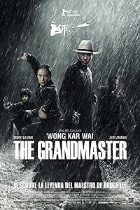 The Grandmaster 2013 Hindi Dubbed Chinese English 480p 720p 1080p Download FilmyZilla
